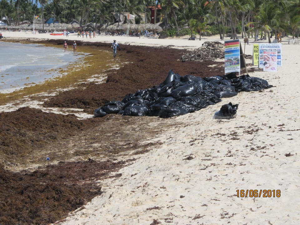 Strand Punta Cana Princess All Suites Resort & Spa