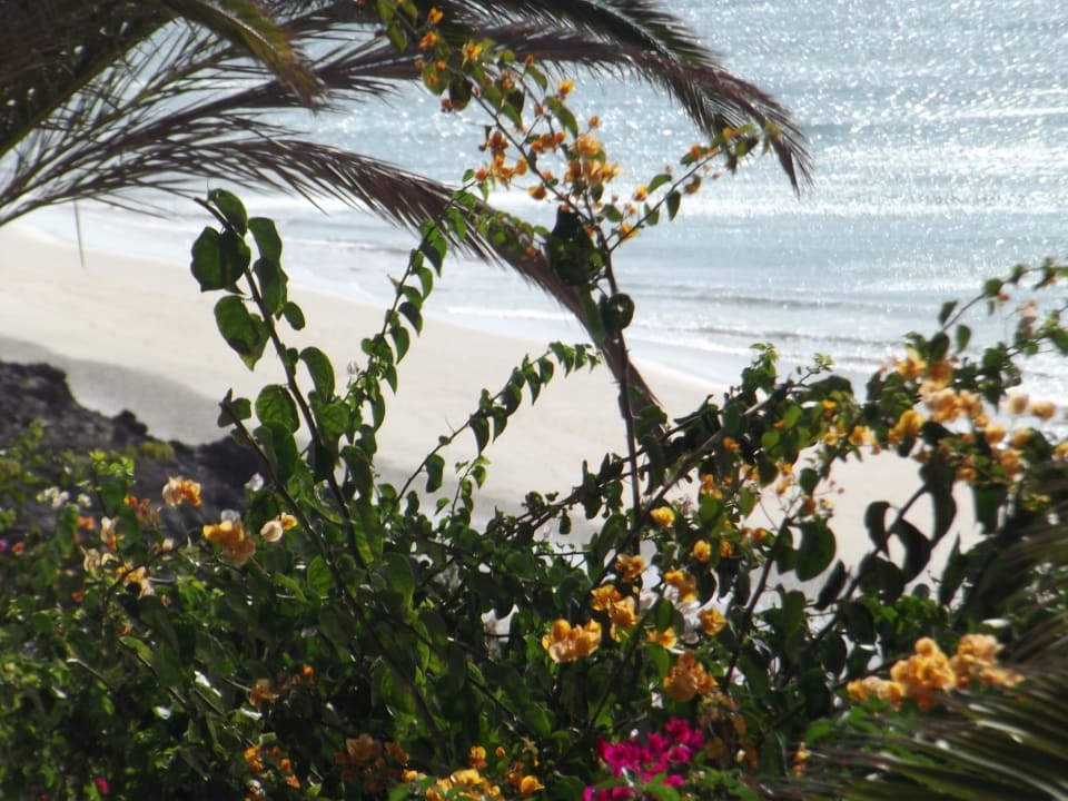 . SBH Club Paraiso Playa