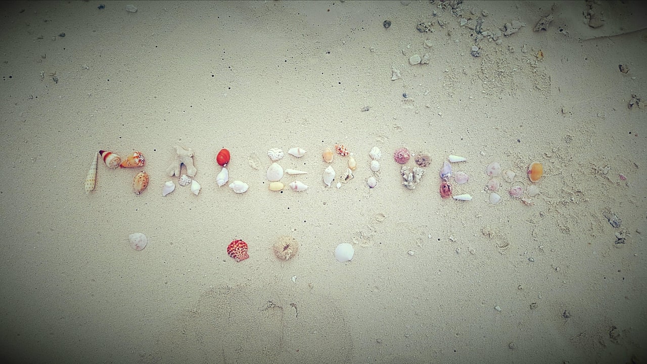 Muscheln Kuramathi Maldives