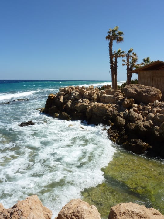 Fast wie in der Karibik Pickalbatros Citadel Resort