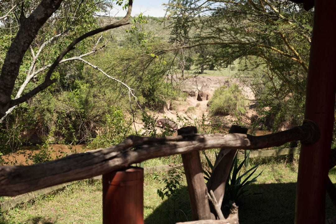 Ausblick vom Zimmer Royal Mara Safari Lodge