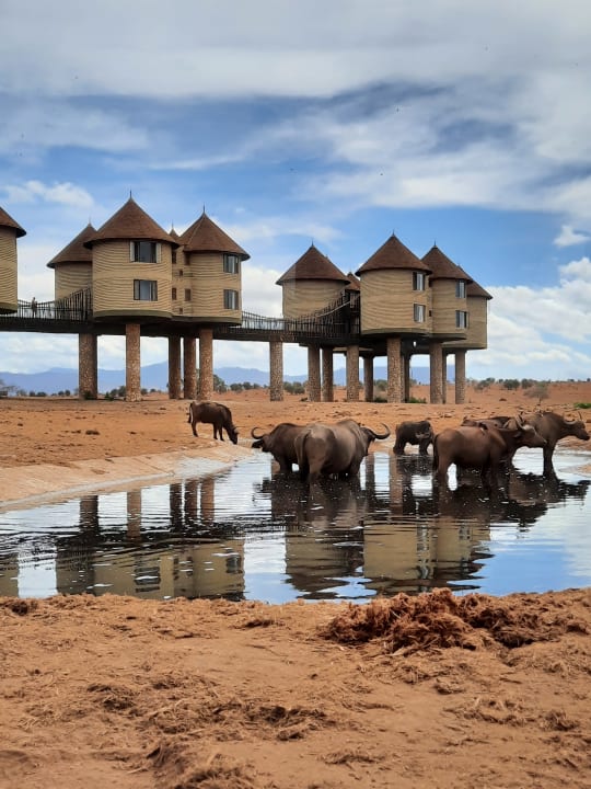 Sport & Freizeit Taita Hills Safari Resort & Spa