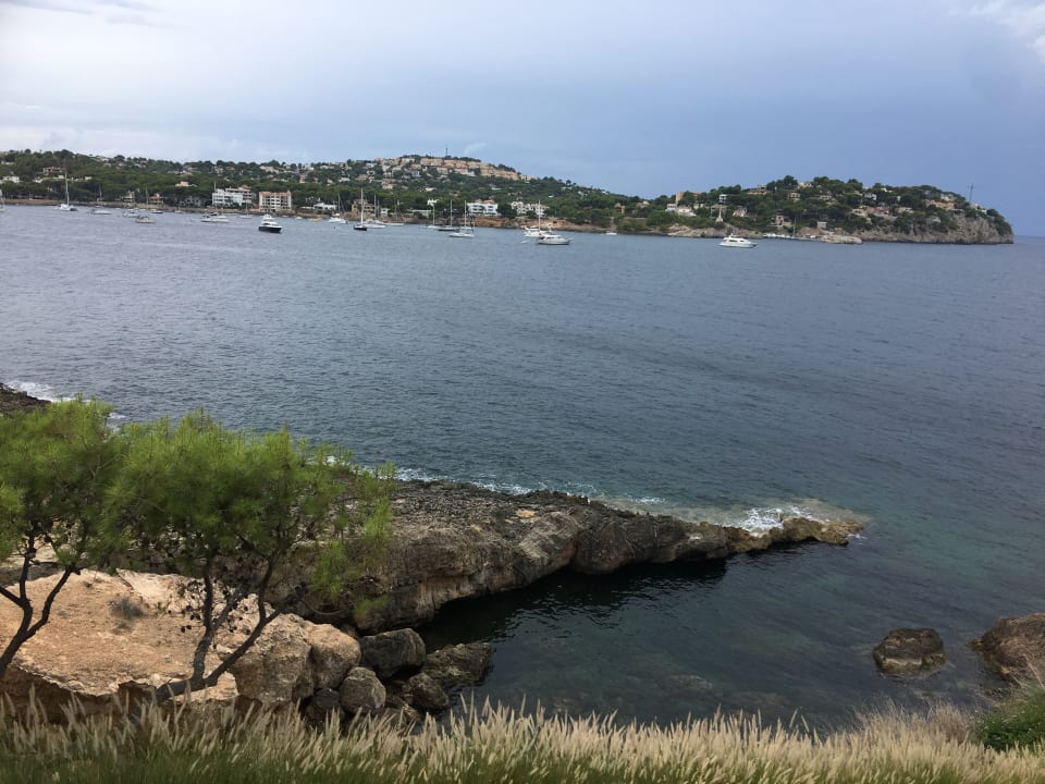 Ausblick Iberostar Selection Jardín del Sol Suites