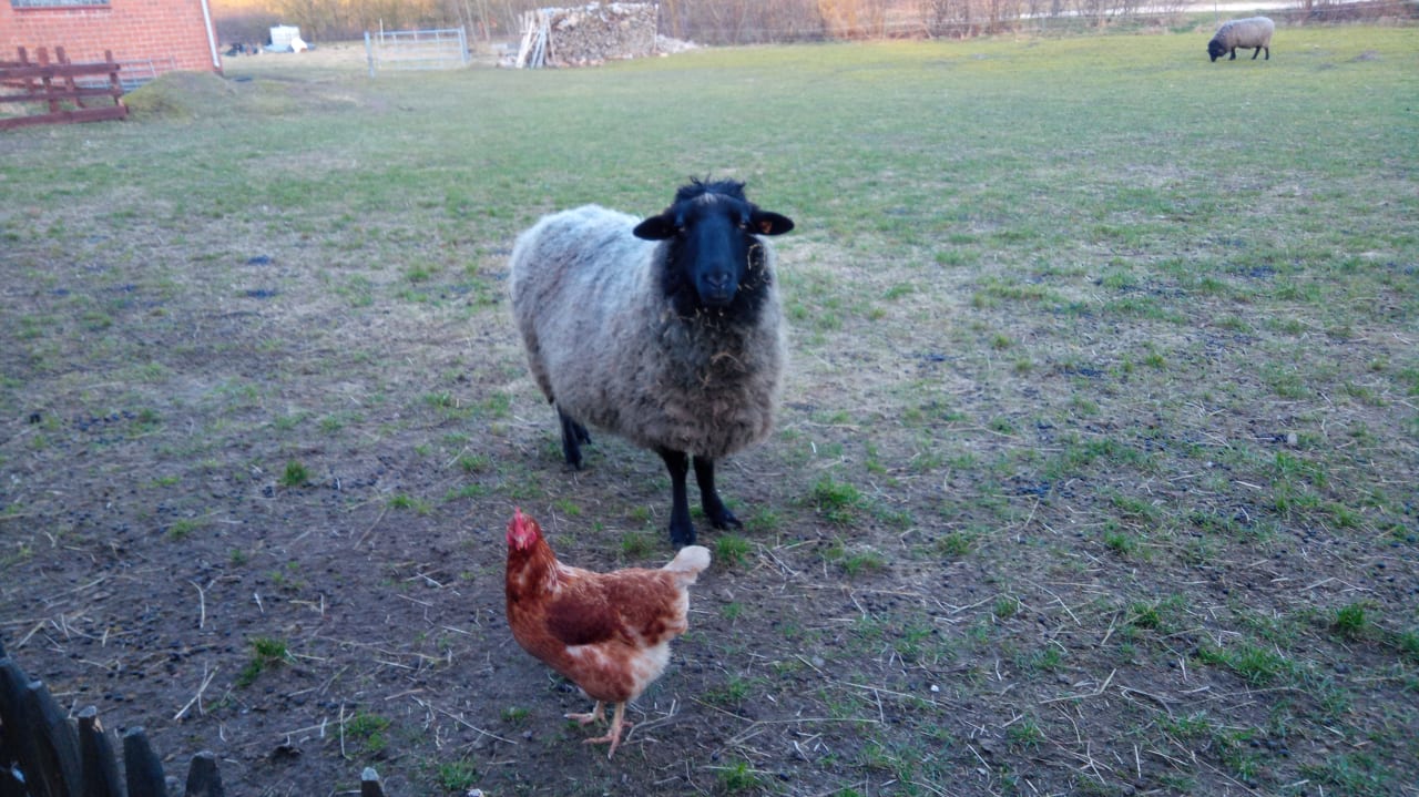 Ausblick Apartment Hockmannshof