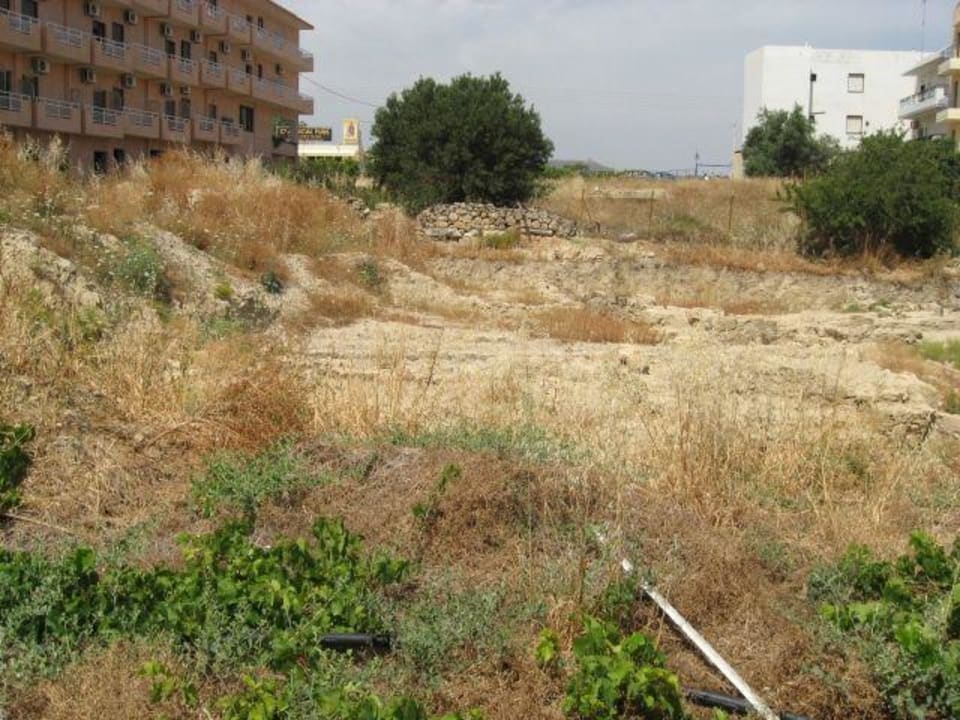 Pool 1 links 2 Hersonissos Palace