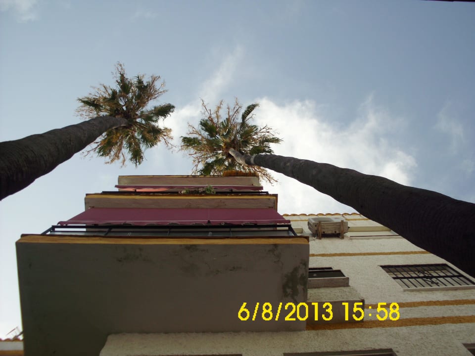 Every other view had been published already! BLUESEA Gran Cervantes