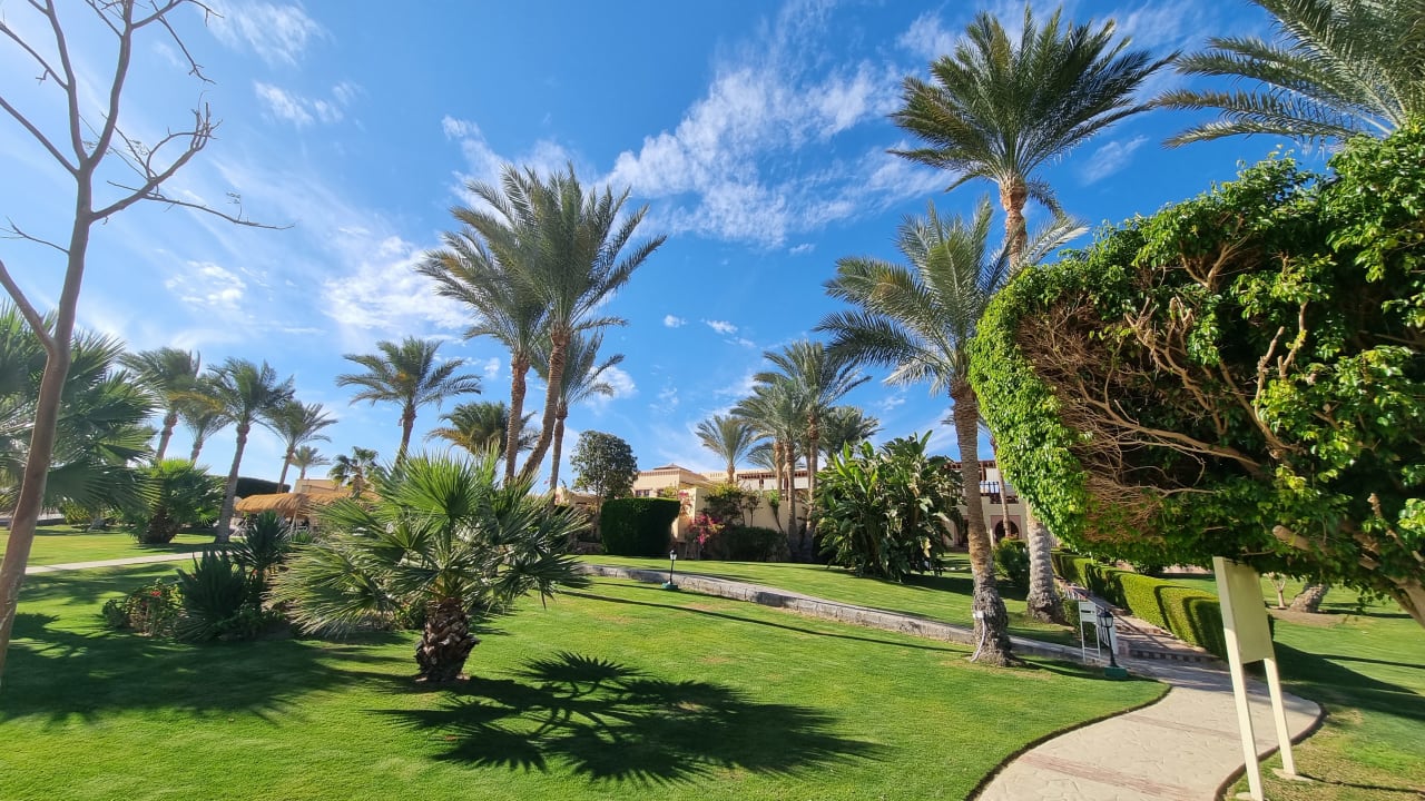 Gartenanlage Steigenberger Coraya Beach - Adults only