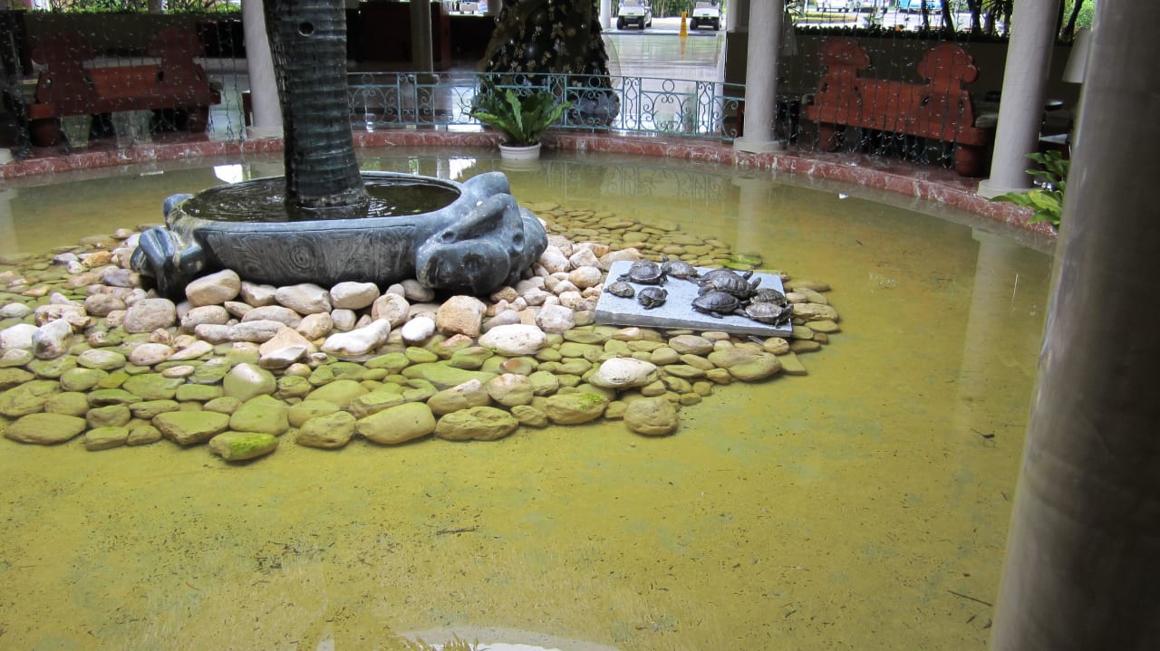 Schildkrötenteich Iberostar Waves Costa Dorada