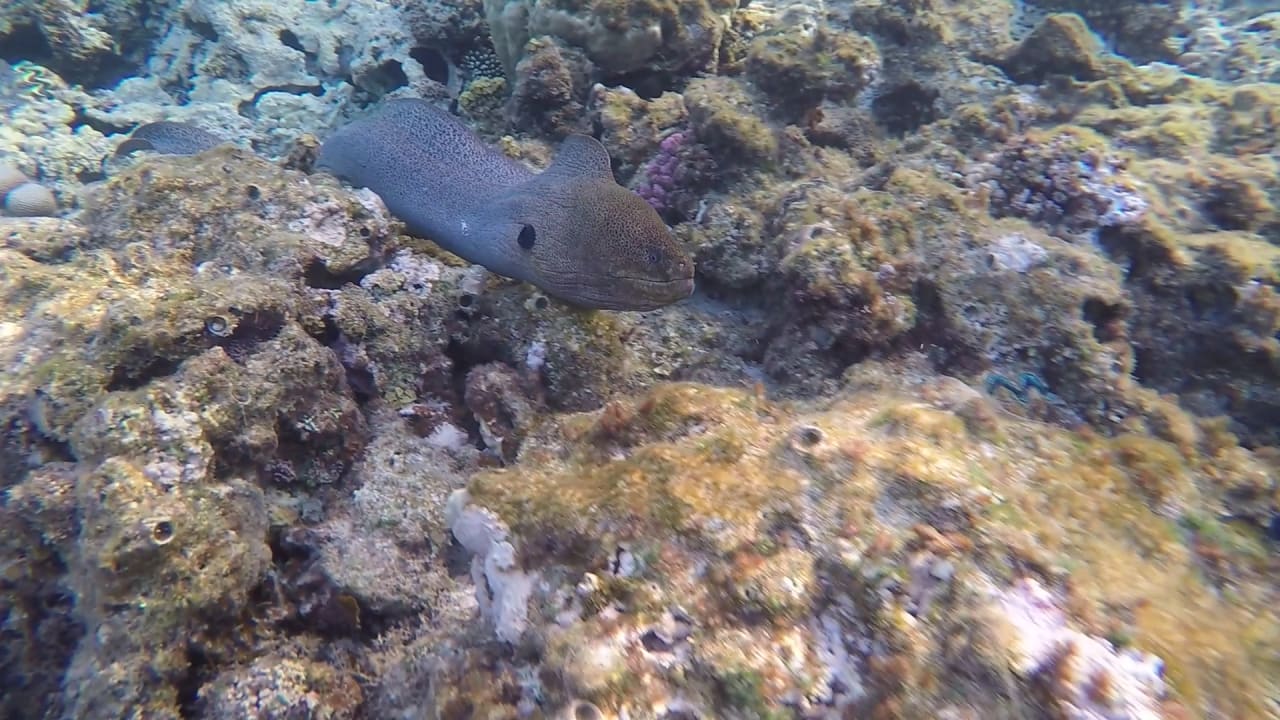 Sport & Freizeit Cleopatra Luxury Resort Makadi Bay