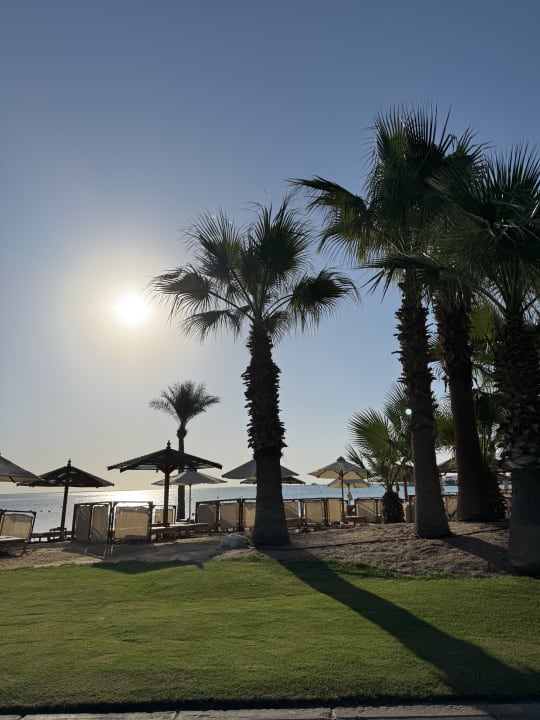 Strand Steigenberger Aqua Magic