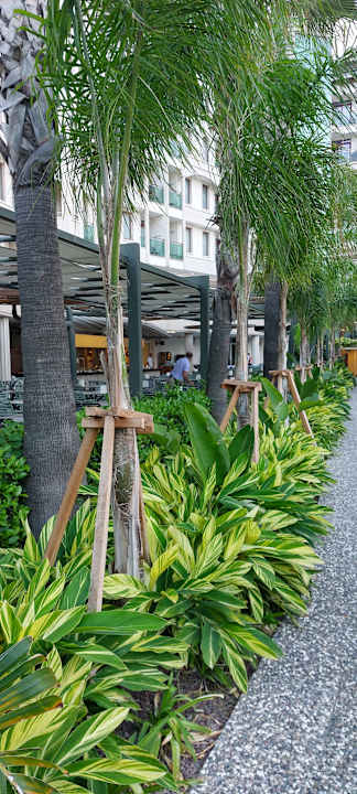 Gartenanlage Bella Resort & Spa