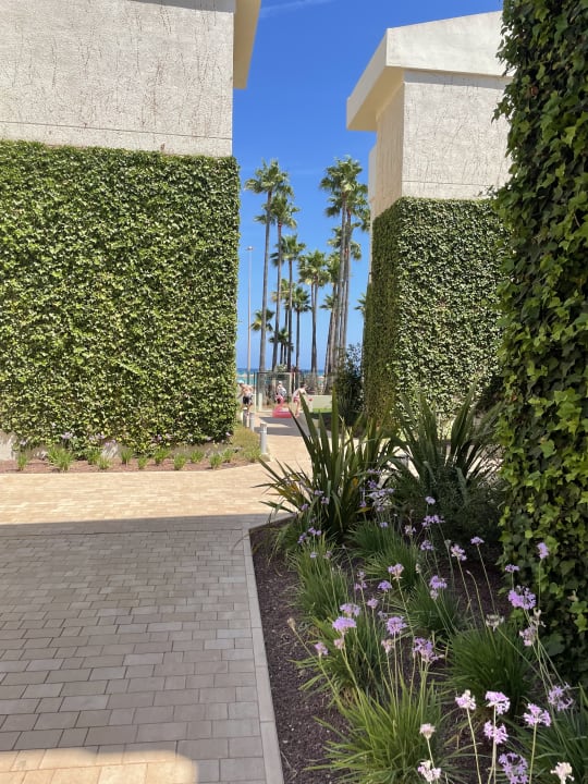 Gartenanlage Hipotels Mediterraneo Club