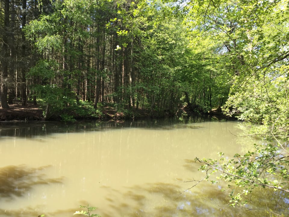 Gartenanlage Golfpark Gut Düneburg
