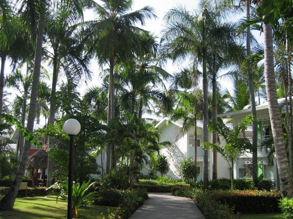 Anlage im Bambu Hotel Riu Bambu