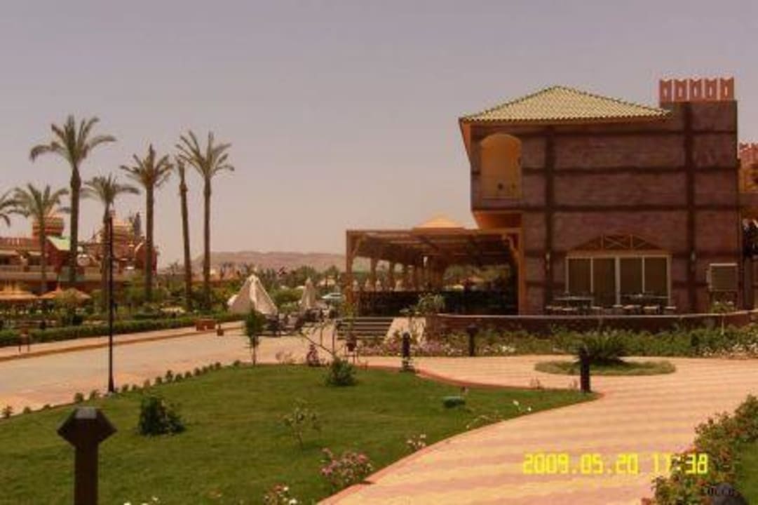 Widok z pokoju Pickalbatros Aqua Blu Resort - Sharm El Sheikh