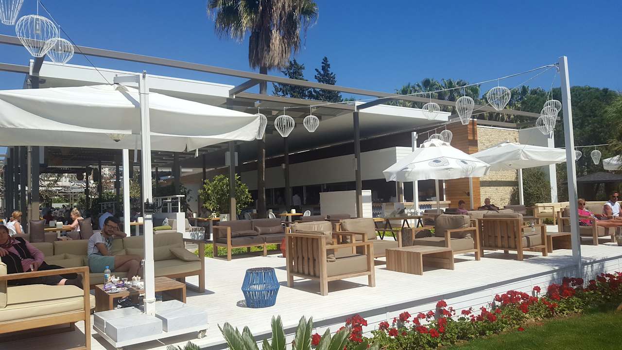 Gastro Acanthus Cennet Barut Collection