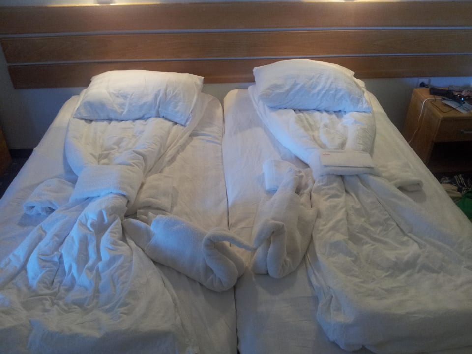 Zimmer HVD Viva Club Hotel