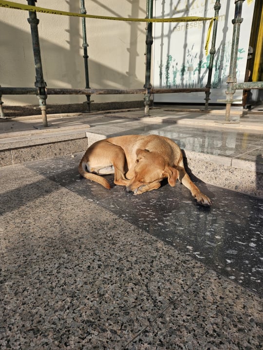 Sonstiges Steigenberger Aqua Magic