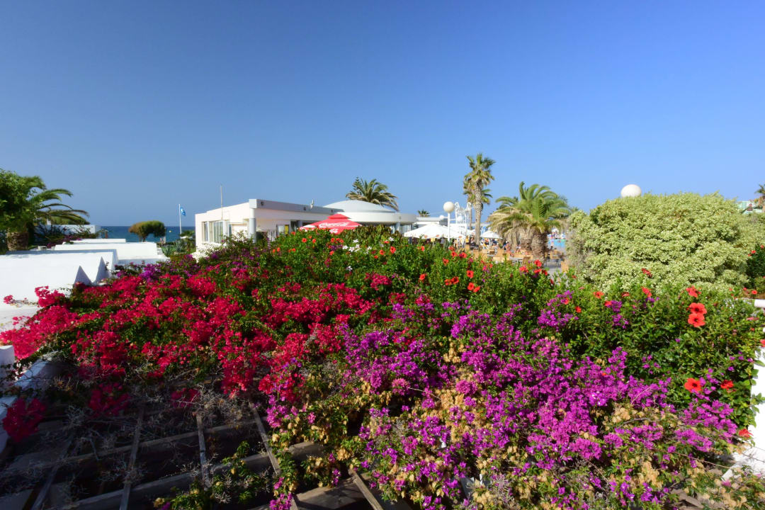 067 Lyttos Beach Hotel