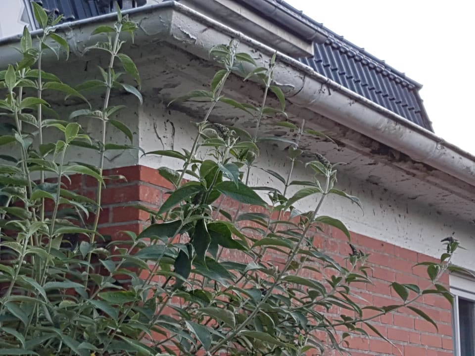 Gartenanlage Hotel kleine Auszeit - Adults Only