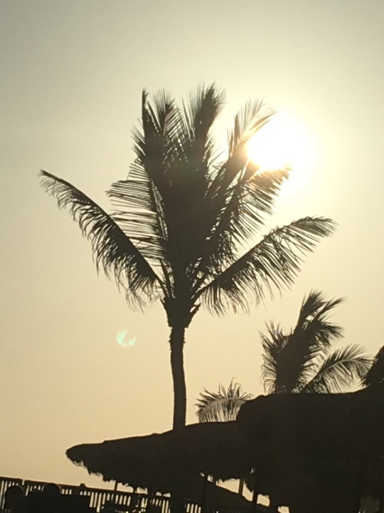 Sonnenuntergang Salalah Rotana Resort