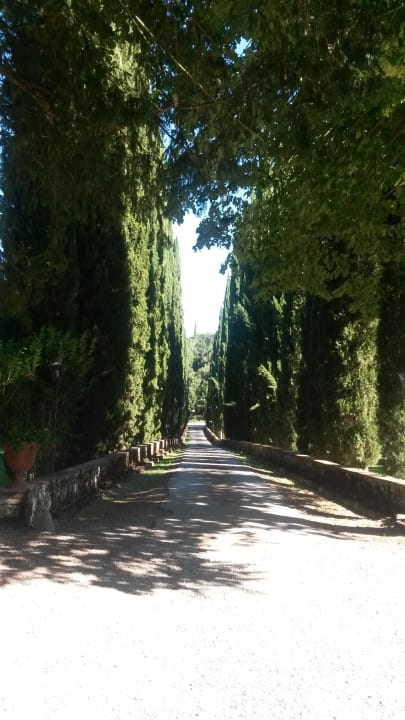 Hotelauffahrt Hotel Borgo San Luigi