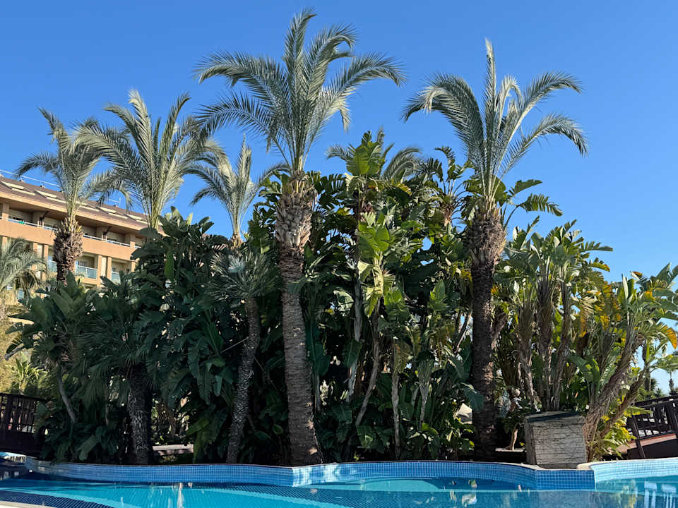 Pool Sunis Kumköy Beach Resort Hotel & Spa