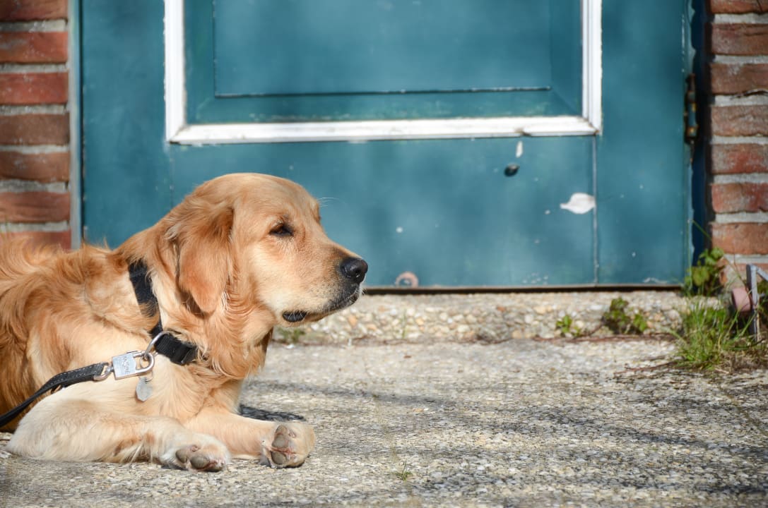 Außenansicht Ferienwohnungen Hus Upstalsboom