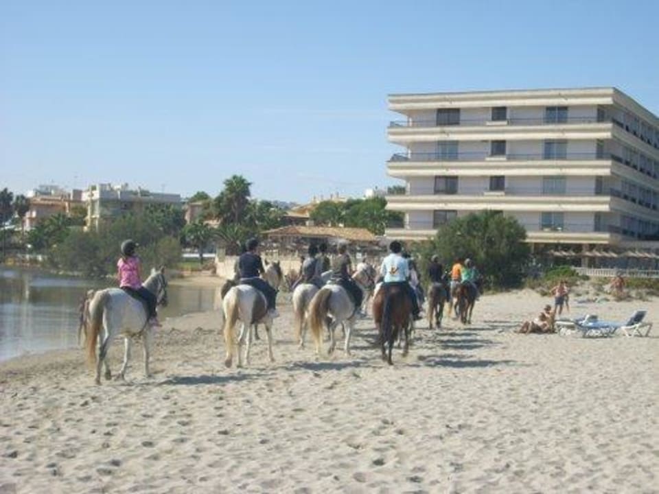Hotel Son Baulo Hotel Son Baulo