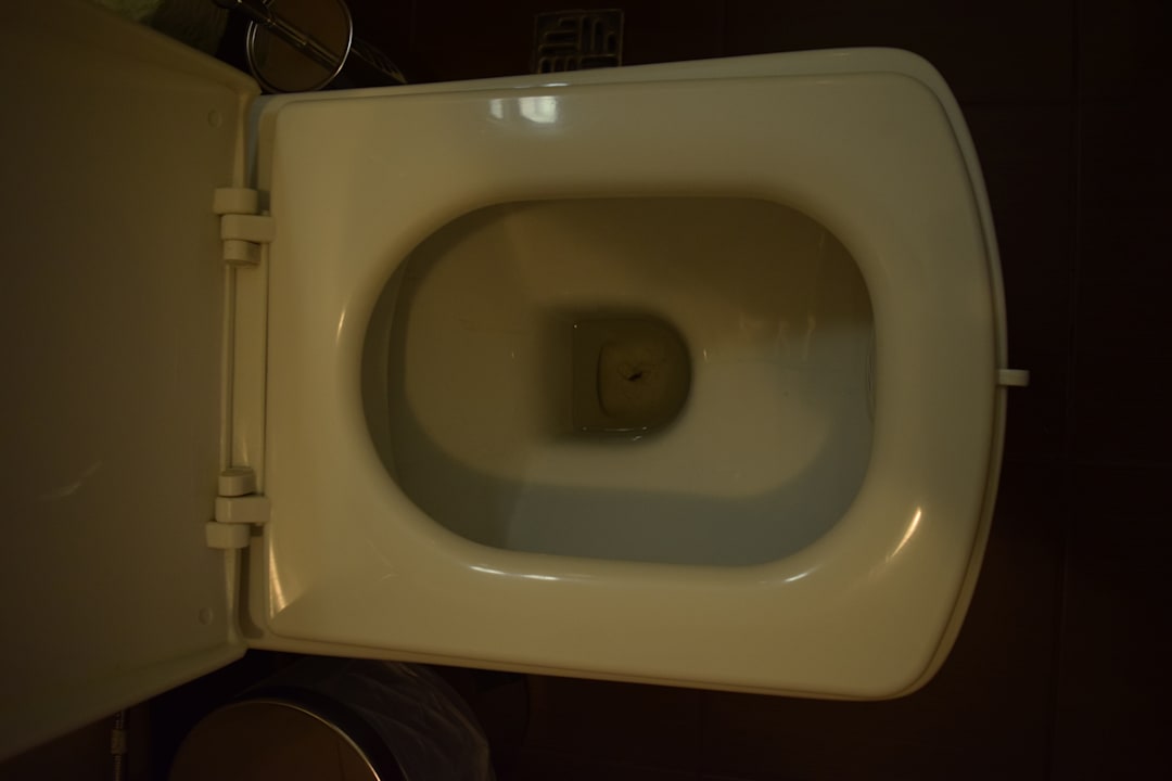 Das WC war beim Bezug des Zimmers nicht ganz sauber. Hotel Pid Templem