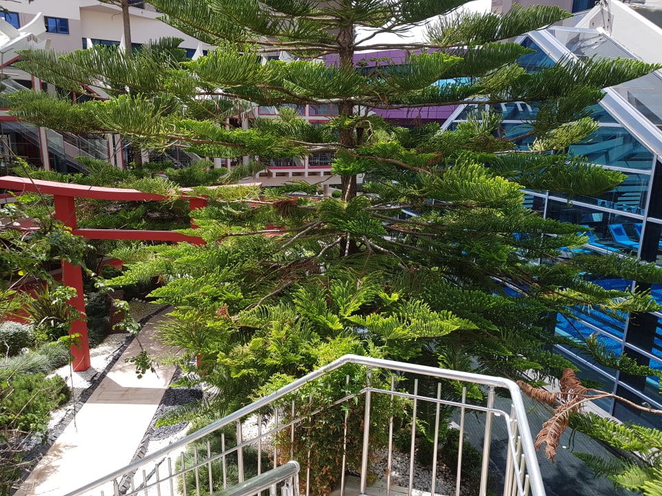 Gartenanlage Susesi Luxury Resort