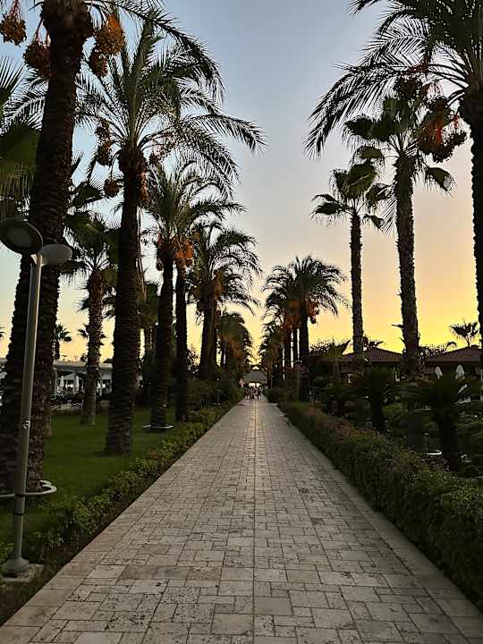 Gartenanlage Calimera Serra Palace
