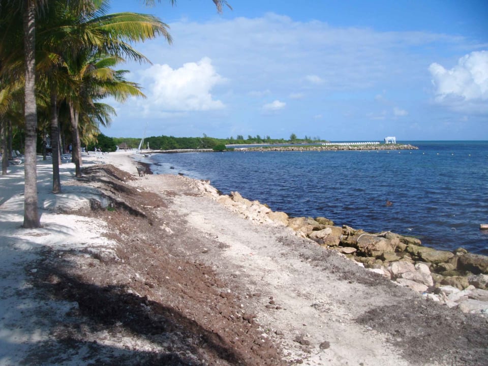 Strand BlueBay Grand Esmeralda