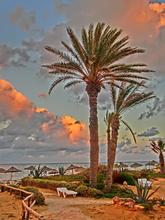 HD-Art Zita Beach Resort