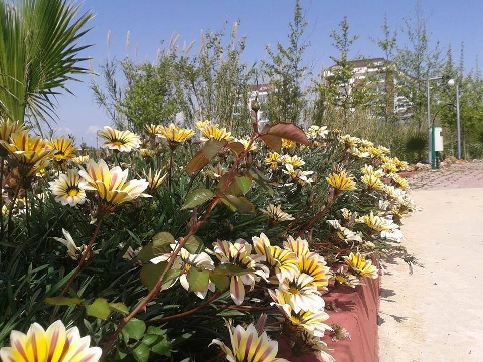 Blumen im Garten Cenger Beach Resort & Spa