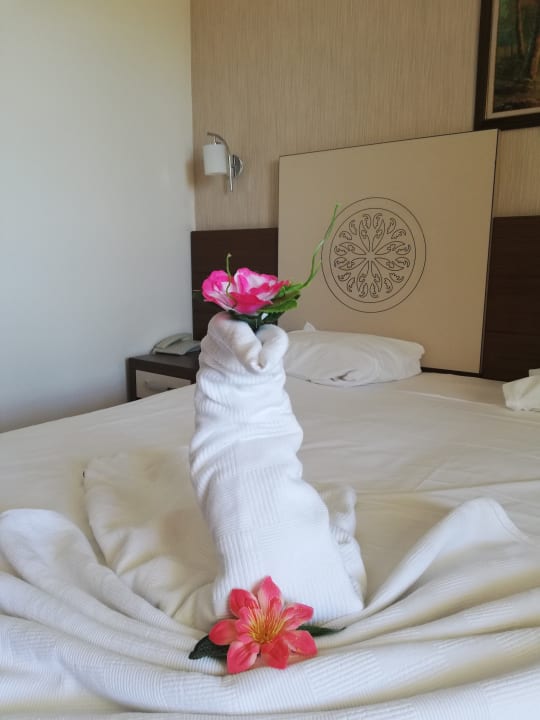 Zimmer Side Alegria Hotel & Spa - Adults only +16
