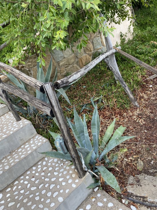 Außenansicht Seaside A Lifestyle Resort