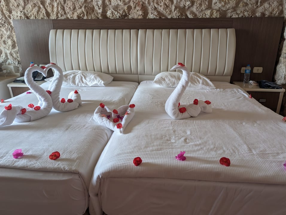 Zimmer Pickalbatros Citadel Resort