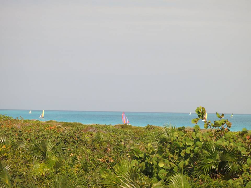 Zimmer mit Meerblick lohnt sich Melia Las Dunas