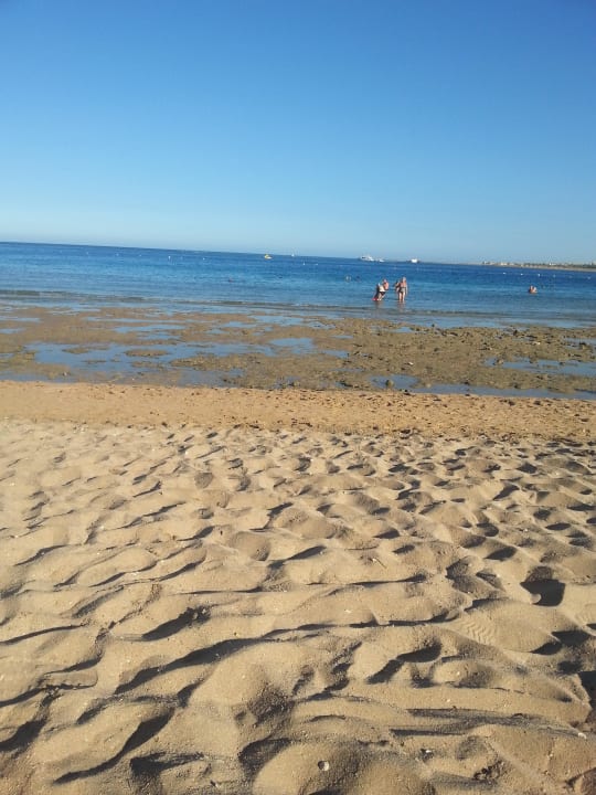 Strand bei Ebbe 2 Fort Arabesque Resort, Spa & Villas