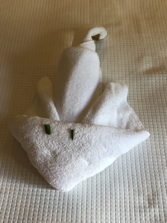 Zimmer TUI BLUE Oceanis Beach and Spa Resort