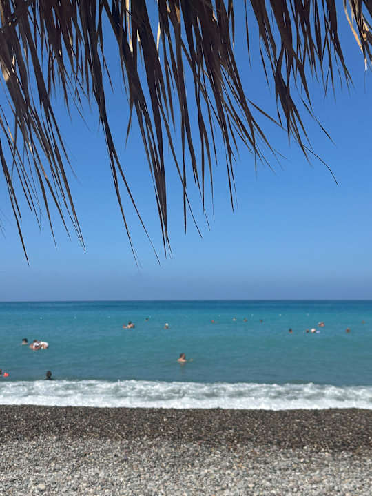 Ausblick Justiniano Park Conti