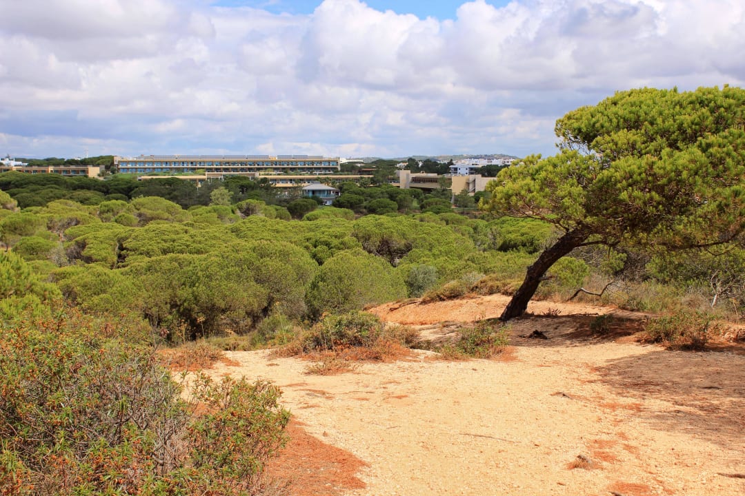 Das Hotel inmitten eines Pinienwaldes Hotel Epic Sana Algarve