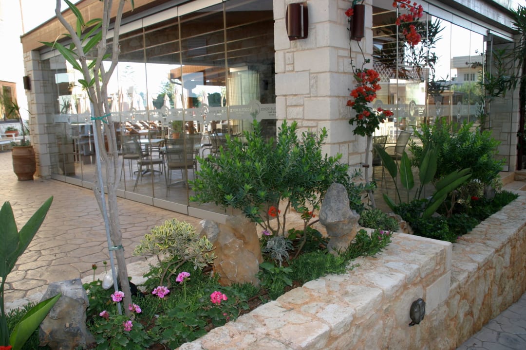 Poolbar Cactus Royal