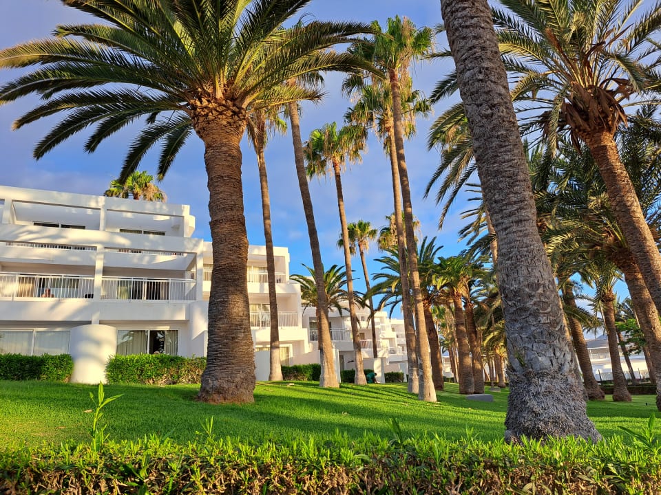 Gartenanlage Hotel Riu Paraiso Lanzarote