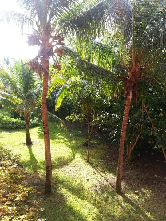 Hotel Catalonia Playa Maroma Catalonia Playa Maroma