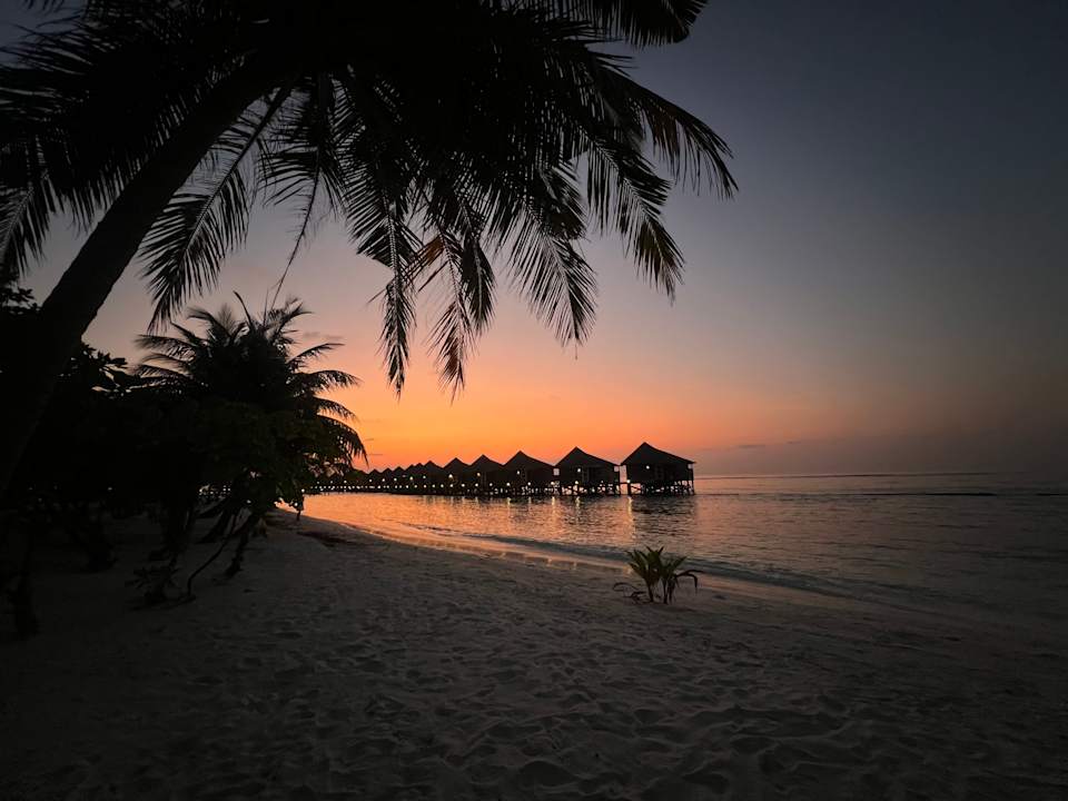 Ausblick Kuredu Island Resort & Spa