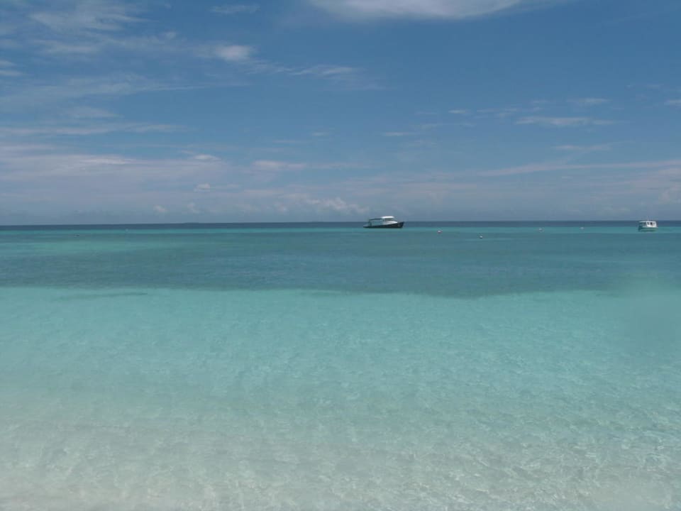 Strand am Bootsanleger ( Jetty ) Kuredu Island Resort & Spa