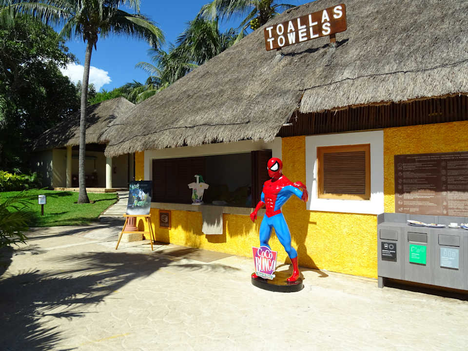 Pool Iberostar Waves Tucan