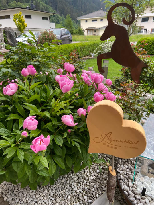 Außenansicht Apartments Alpinschlössl Mayrhofen im Zillertal